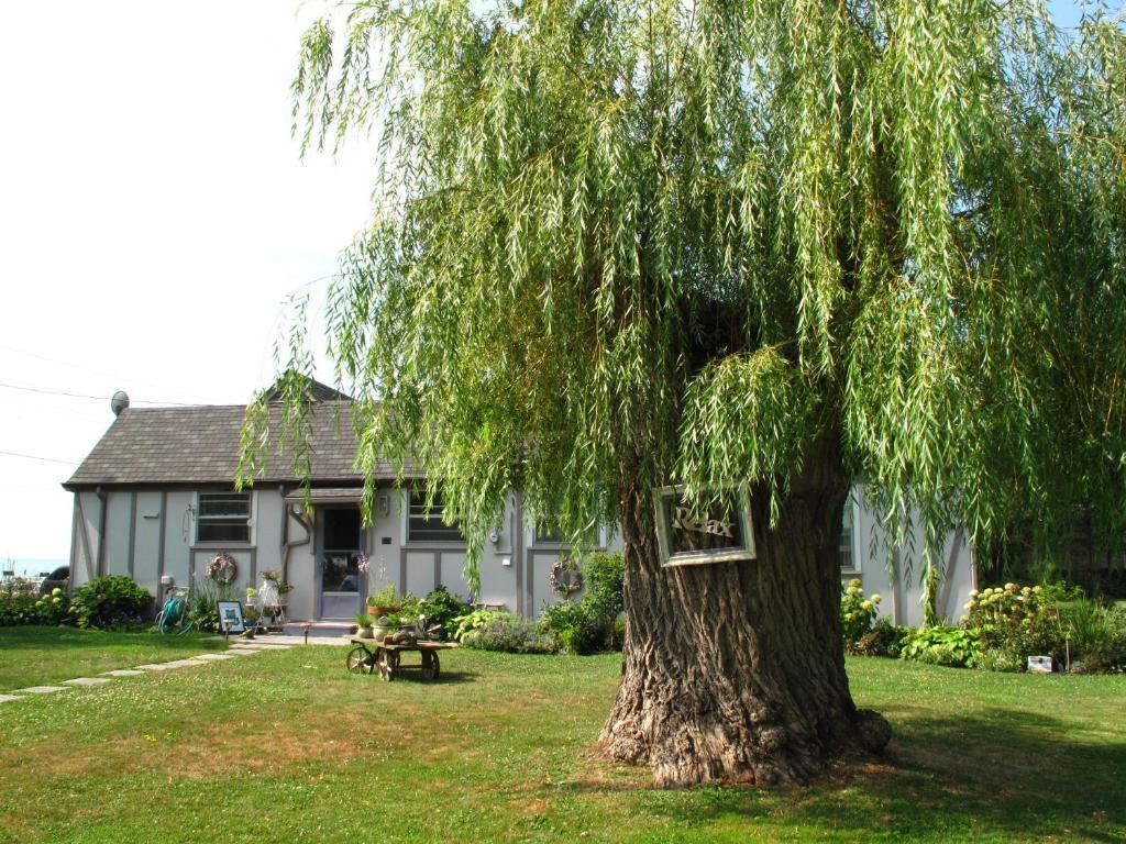 Omstead'S On Erie B&B Wheatley Kültér fotó